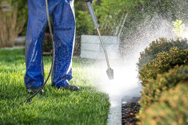 Cost of Curb Cleaning in Knoxville