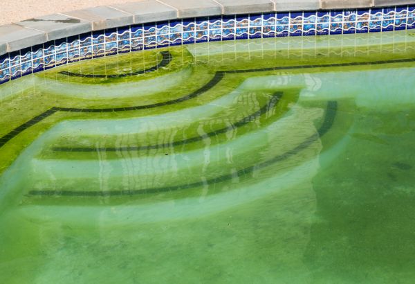 Pool Deck Algae Removal in Knoxville