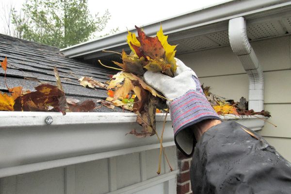 Cost of Eaves Cleaning in Knoxville