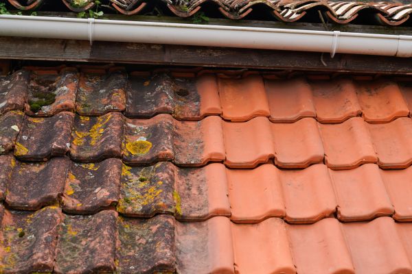 Industrial Roof Cleaning in Knoxville