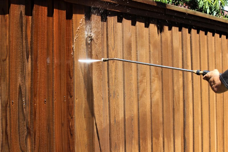 Iron Fence Pressure Washing